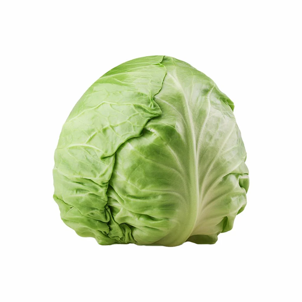 Cabbage Green Whole