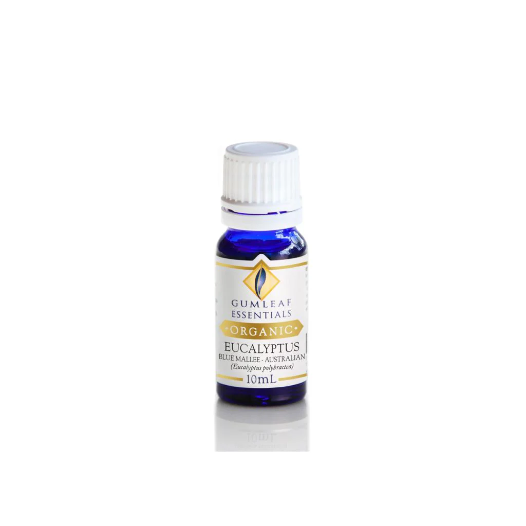 Eucalyptus Blue Mallee 10ml