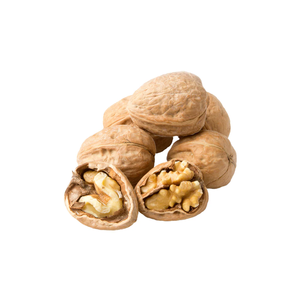 Fresh Walnuts in Shell 100g