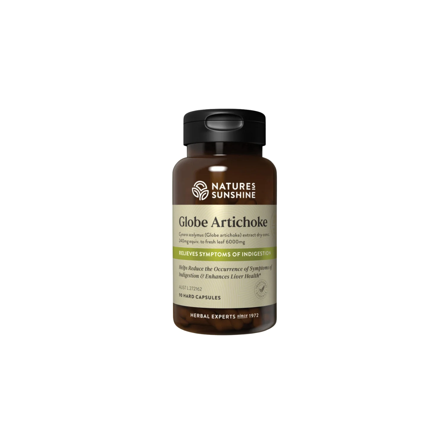 Globe Artichoke 90c