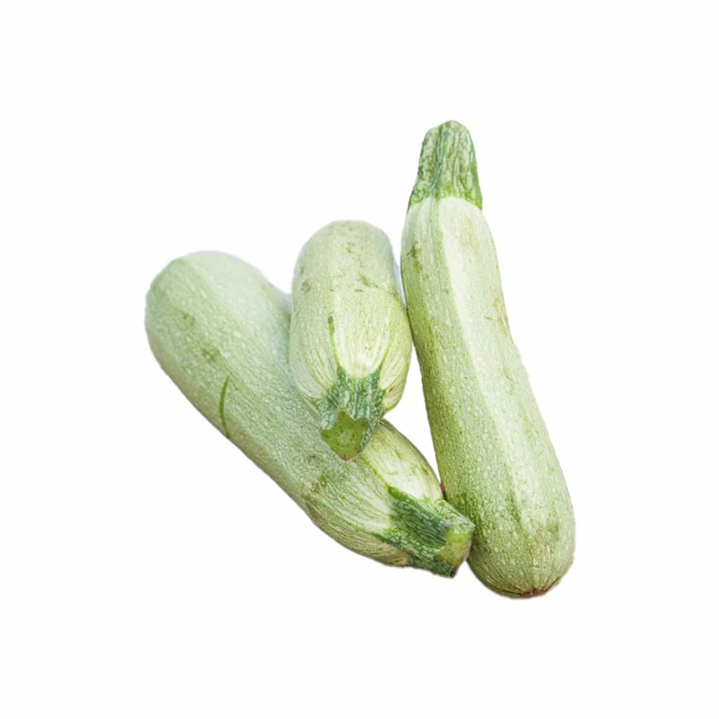 Zucchini White