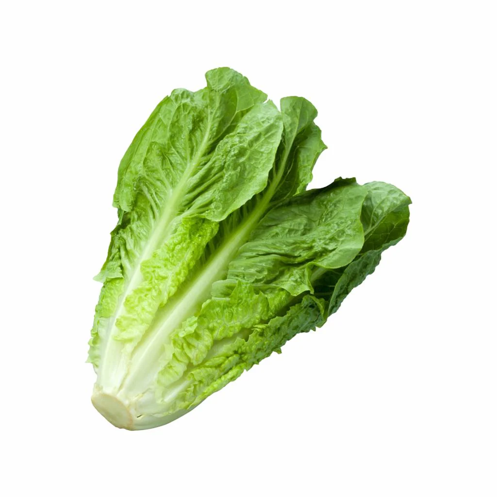 Lettuce Cos