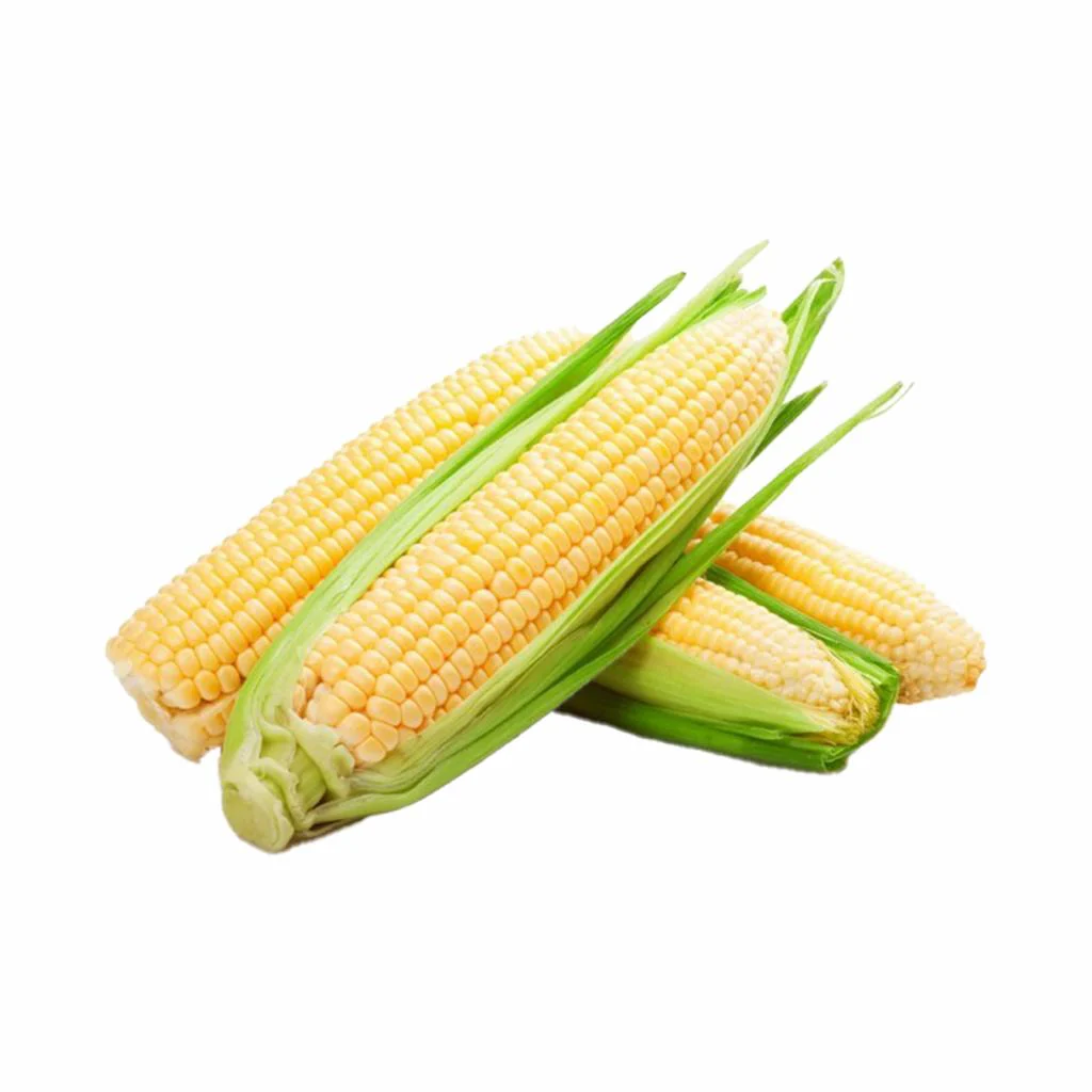 Sweet Corn